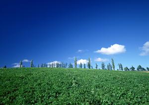 埼玉県内の葬儀社の見積運営サイト