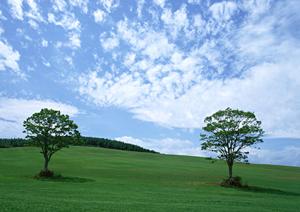 静岡市で信頼できる葬儀サービス【富士葬祭 材木町】の特徴と詳細情報