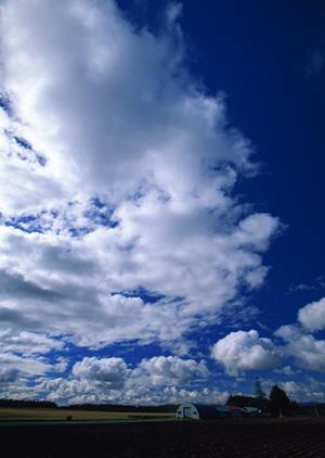 迅速な葬儀対応サービスをします