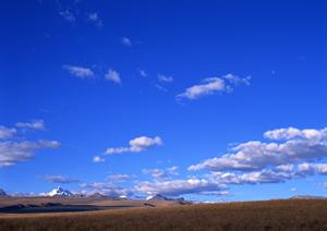 急な葬儀にかかるお金を比較できるサイト