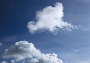 信頼できる栃木県の寺院で永代供養をする