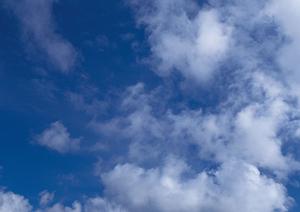 東京で永代供養を任せられるところをお探しなら