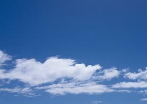 平等院のような室内墓地が建設されます