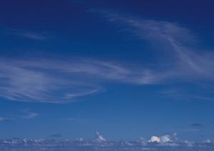 佐野市での安心の葬儀を実現する【さがみ典礼 佐野】の全ての特徴とサービス