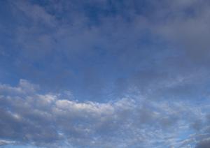 川崎で家族葬を検討する方におすすめ