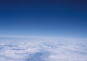 屋外墓地と室内納骨堂を持つ大阪墓地