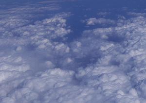 利便性に富んだ広島のペット葬儀屋