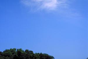 青森で信頼できる葬儀社を見つけるための完全ガイド：手続きや予算に関する情報も網羅