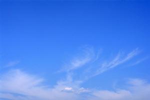 仙台近郊で自然葬が可能な歴史ある寺院