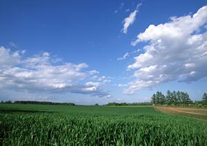 静岡県における低価格の家族葬・火葬を提供する【家族葬のタクセル】の全て