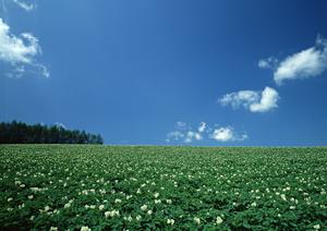 羽束師会館で理想のお葬式をあげよう