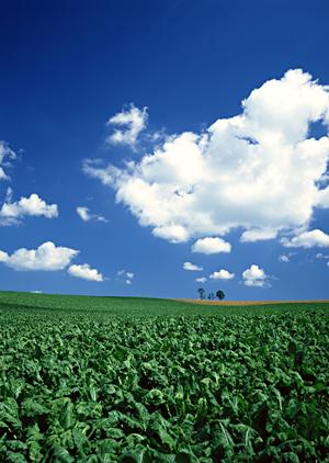 浜松市中央区高林における信頼の葬儀サービス ? 富士葬祭 高林の特徴とアクセス情報