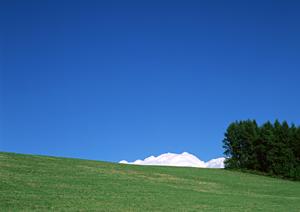 静岡市葵区に新たにオープンした家族葬専門の斎場｜家族葬のタクセル丸山町の特徴と魅力