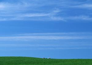 豊かな自然に囲まれた場所で葬儀ができる