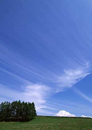 家族葬と一般葬を支える町田総合斎場 – くらしの友の役割とサービス