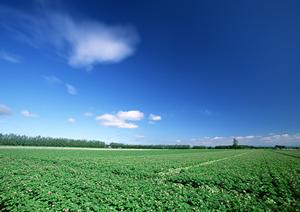 静岡市清水区の家族葬に最適な斎場 | 家族葬のタクセル上原の詳しいご案内