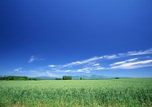 やすらぎホール大宮 – 埼玉県さいたま市の信頼の葬儀場