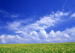 静岡市駿河区における信頼の葬儀サービス：富士葬祭 聖一色の全貌