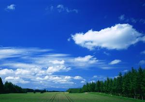 酒田市の納骨は四十九日後が多い