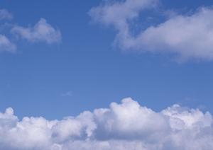 安心して利用できる23区永代供養