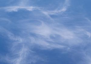 静岡市駿河区にOPEN！家族葬のタクセル西中原：低価格・多様な宗派対応の安心葬儀場