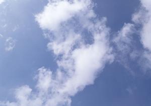 大阪でペット火葬をしたいと考えるなら