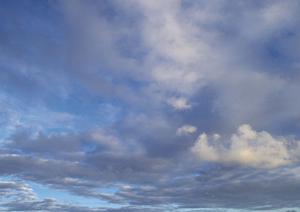 愛媛で永代供養をすることができる