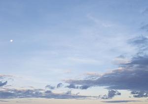 宮城県の山寺で樹木葬と永代供養が
