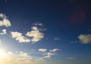 東京都内の樹木葬事情が分かるサイト